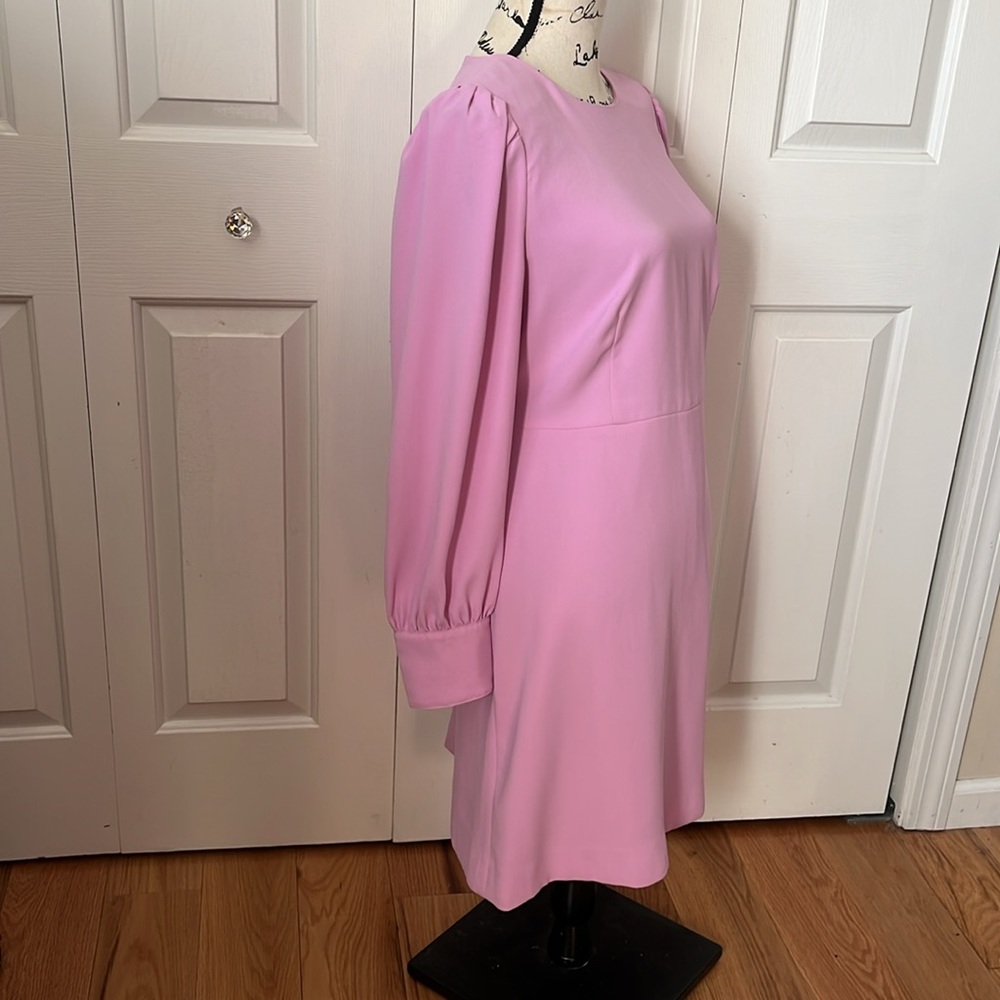J. Crew long sleeve crepe 365 dress in soft mauve pink size 10. - Picture 9 of 12